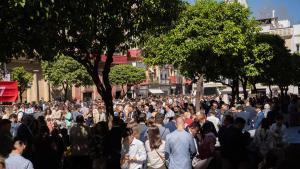 Plaza del Salvador el Domingo de Ramos