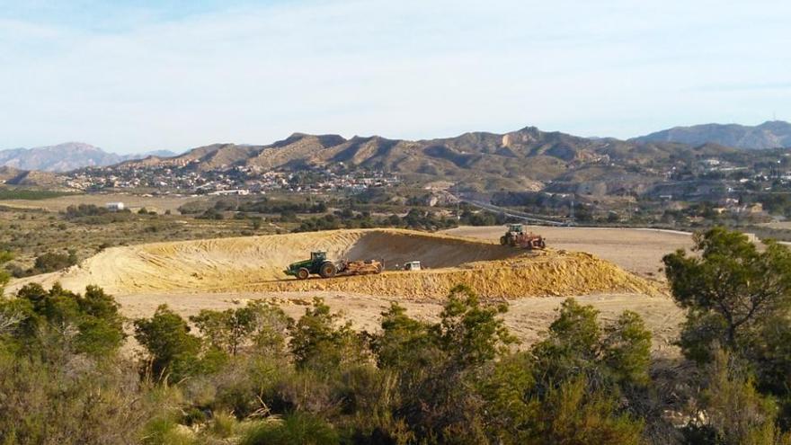 Margalló denuncia la roturación forestal y el corte de una vía pecuaria en Elche