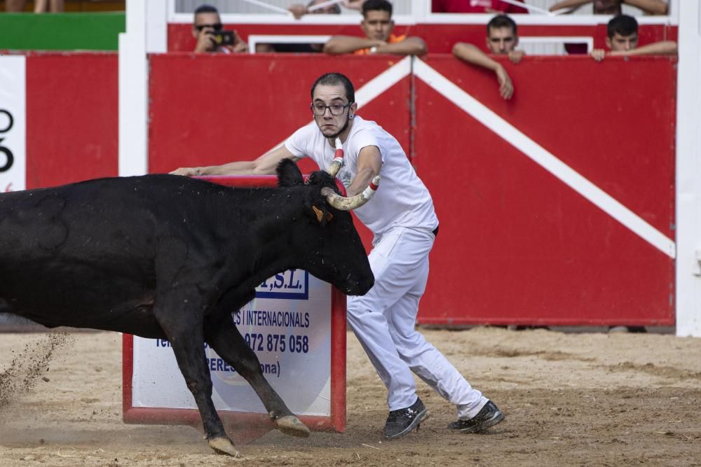 Vidreres celebra els correbous entre les protestes dels animalistes