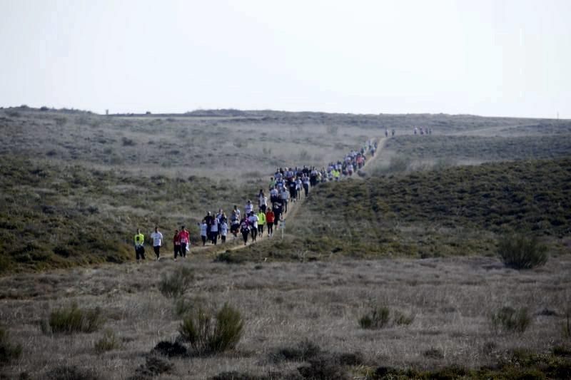 La XIII edición de la Carrera del Ebro