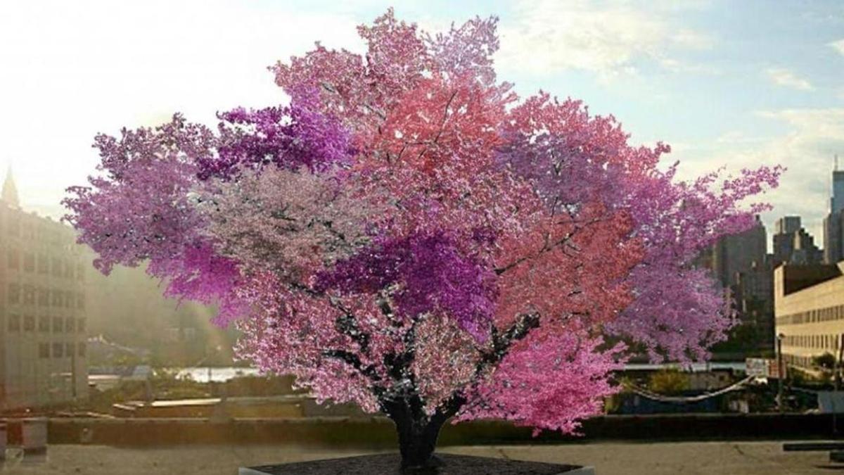 Frankenstein, el árbol que da 40 frutos diferentes