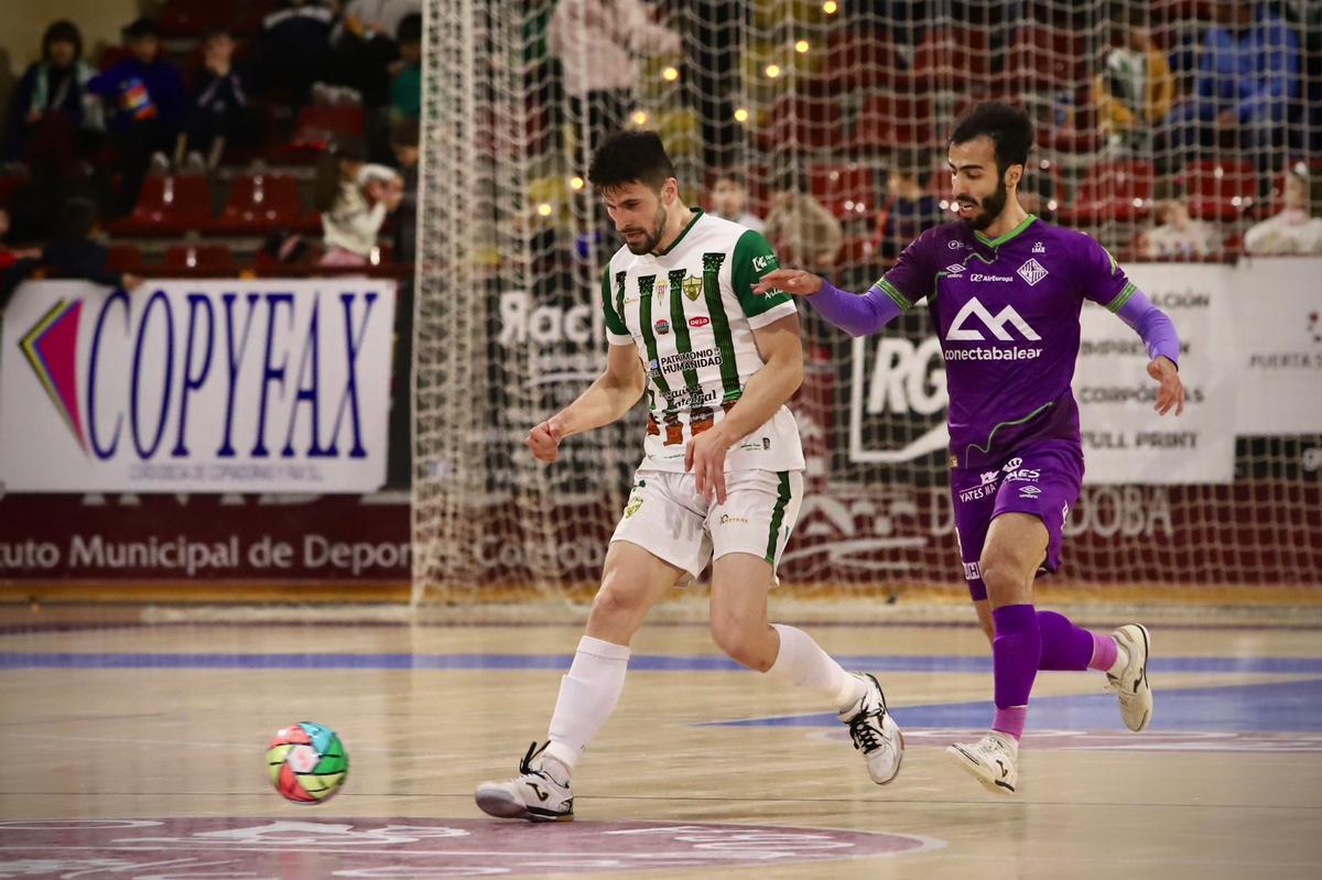 Córdoba Futsal Patrimonio-Mallorca Palma: el partido en imágenes Córdoba Futsal Patrimonio-Mallorca Palma: el partido en imágenes