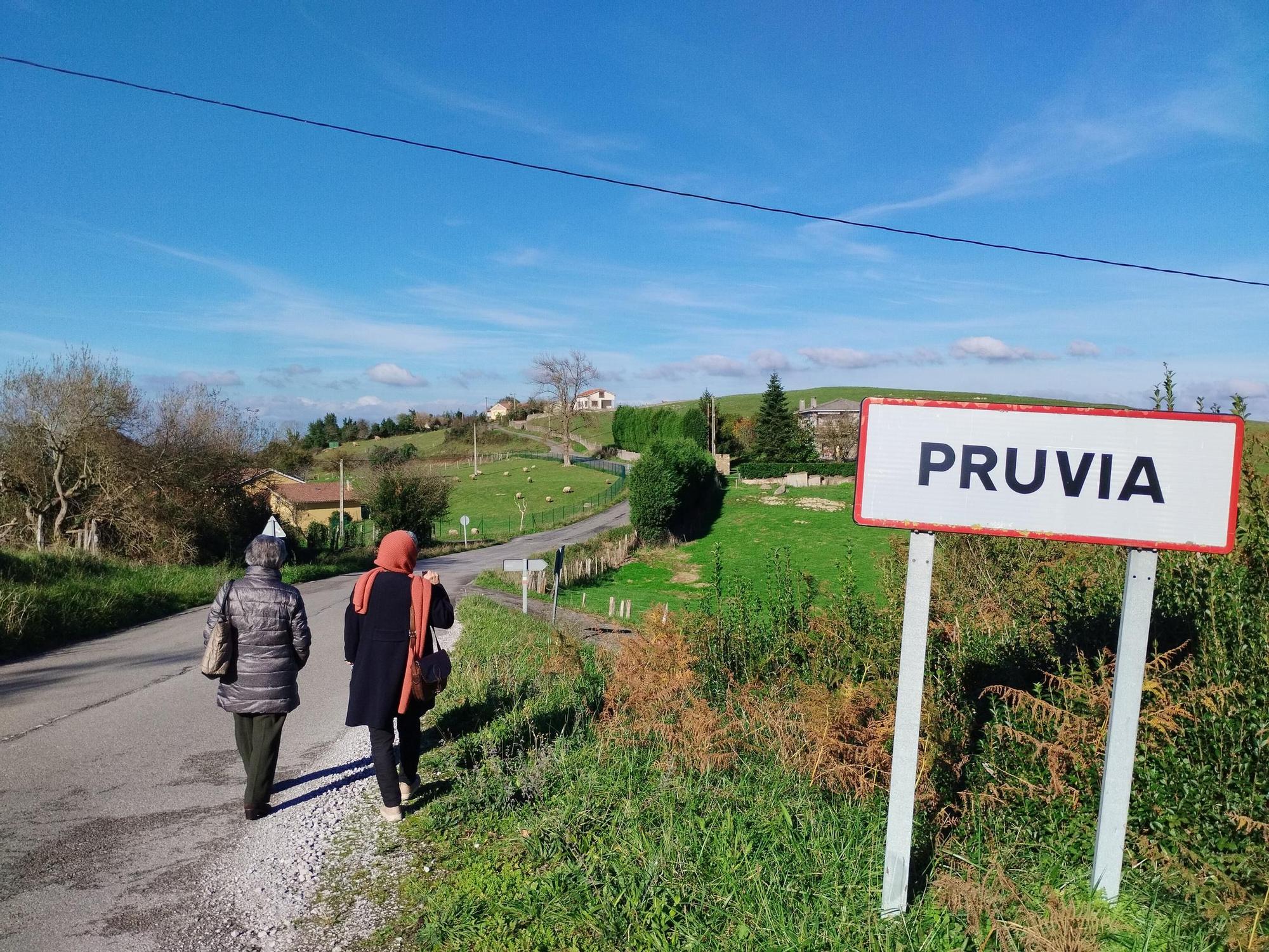 La ruta circular de Pruvia desde la urbanización de Soto de Llanera, en imágenes