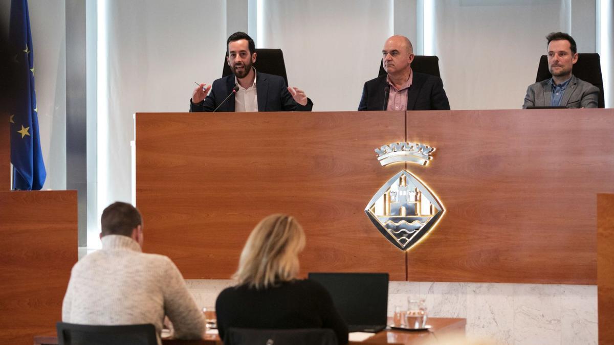 La interventora, Marian Tur, de espaldas, y enfrente el presidente, Vicent Marí, durante un pleno del Consell.