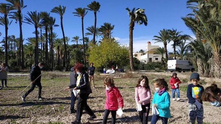 Actividades de limpieza en el Palmeral de Elche