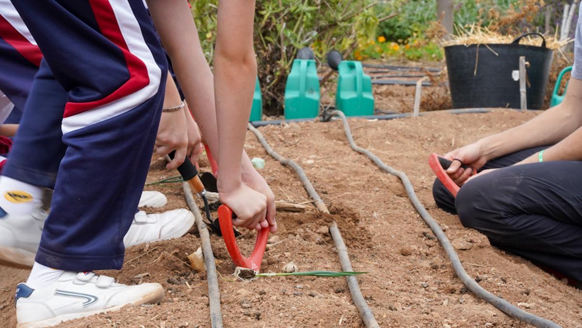 La Granja Agrícola Experimental del Cabildo de Gran Canaria recibe entre este miércoles y jueves la visita de 1.207 escolares