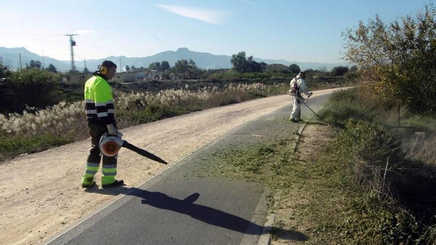 Dos operarios despejan el vial para bicicletas.