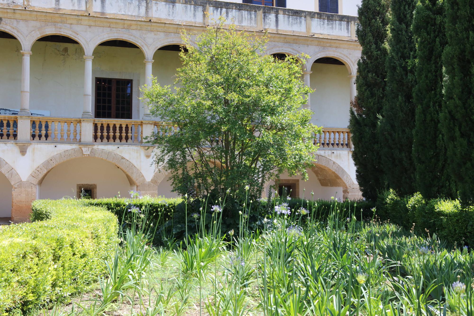 So sieht es auf dem Landgut Raixa auf Mallorca aus