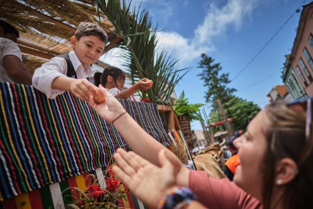 Romería de San Benito 2019