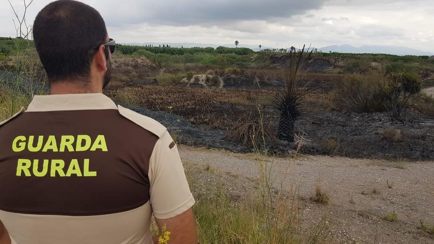 Un incendio afecta al tramo bajo del paisaje protegido de la desembocadura del Millars