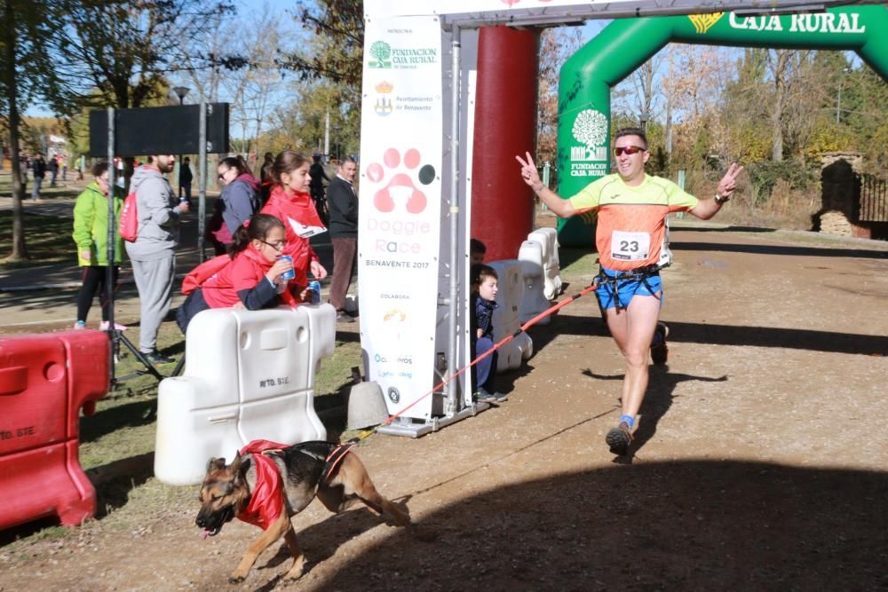 Así ha sido la Doggie Race en Benavente