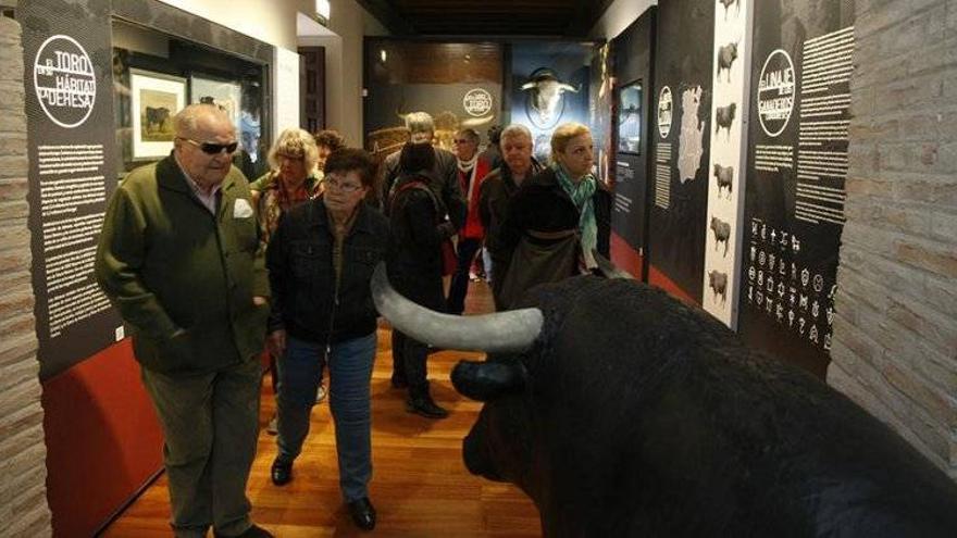 Más de 10.000 personas visitan el Museo Taurino desde su reapertura en marzo