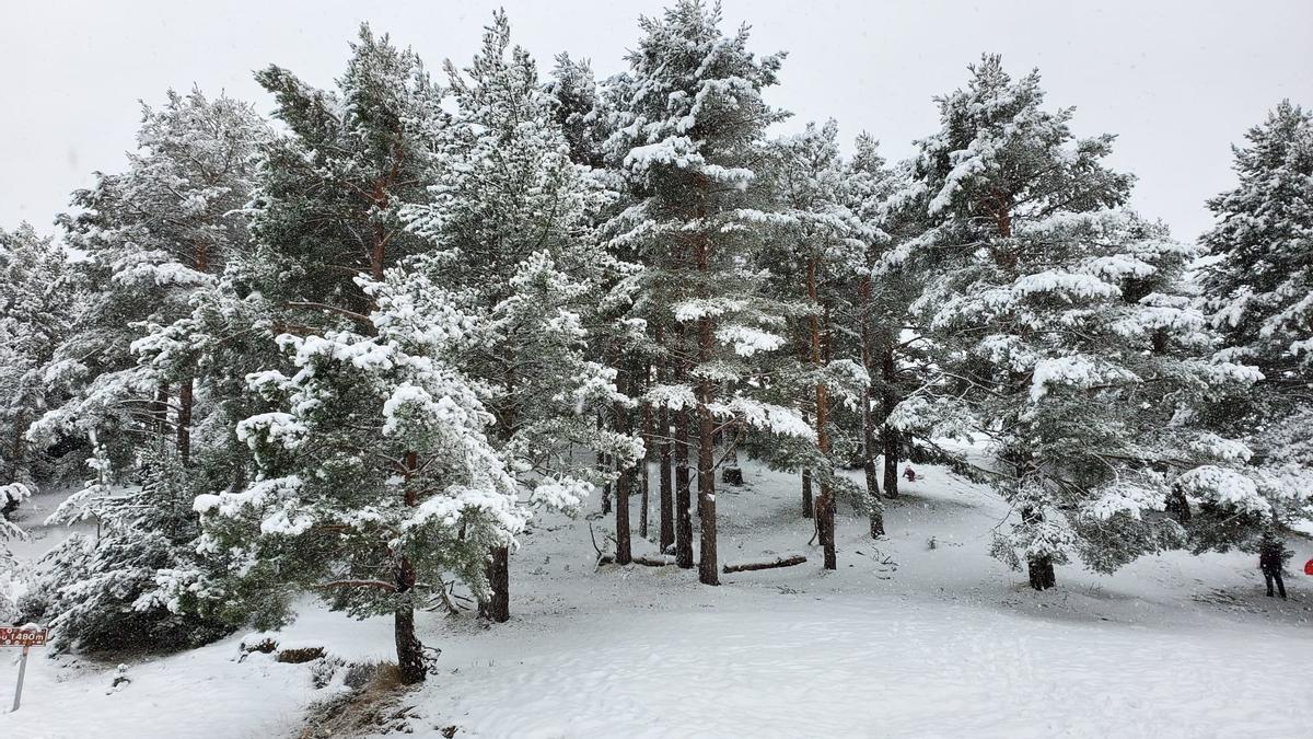 Paisatge nevat a Coll de Jou, aquest dijous al migdia