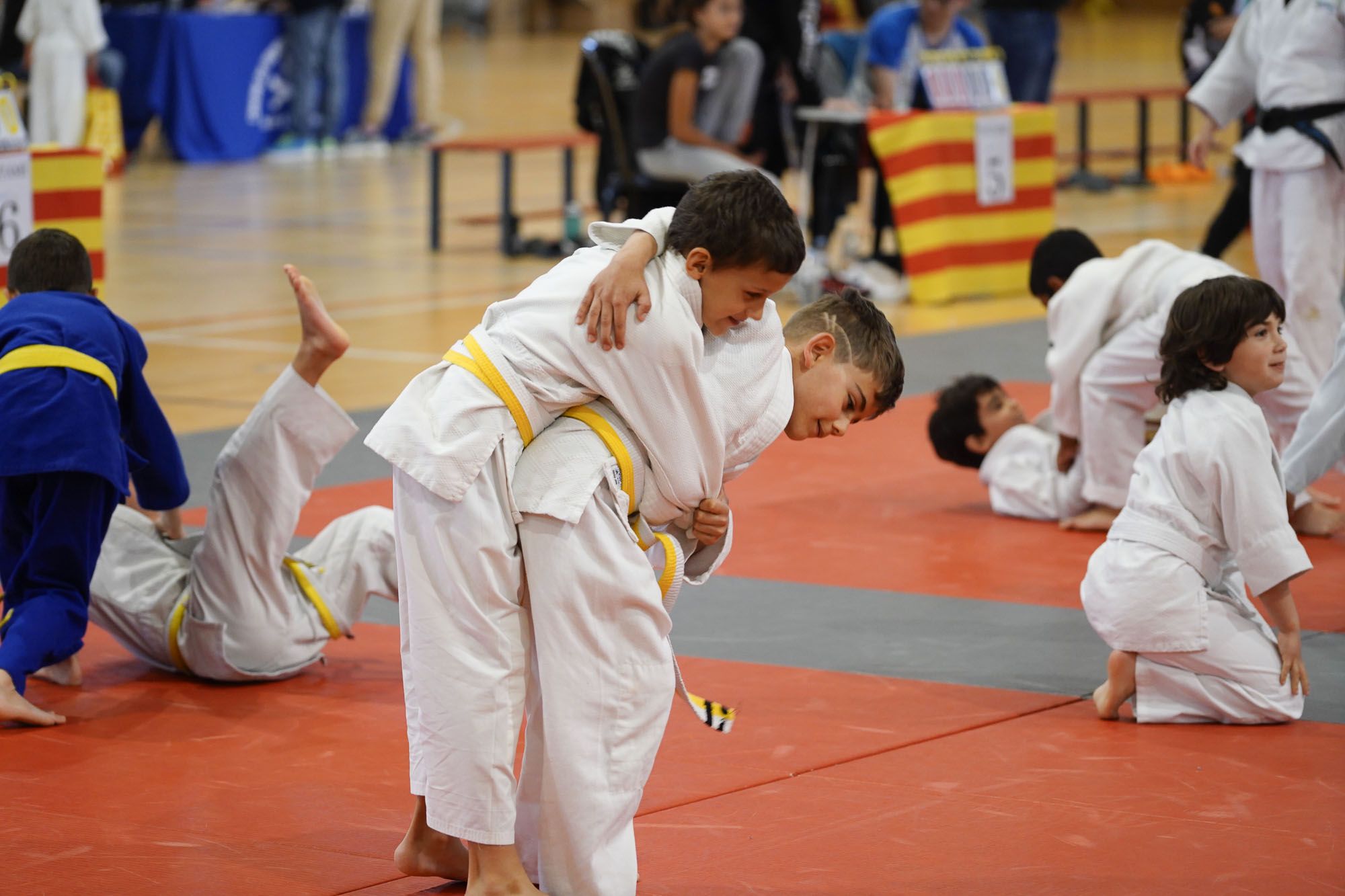 Les imatges del torneig infantil de judo de l'Escola 7