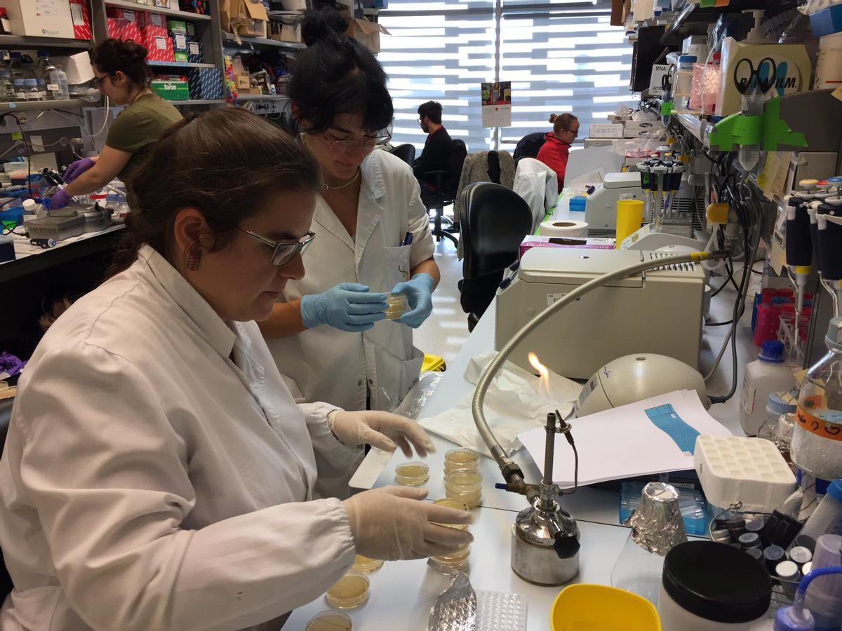 Proceso de muestras en CRG