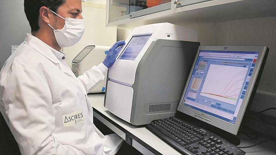 Un test genético PCR creado en España permitirá realizar 7.000 pruebas al día