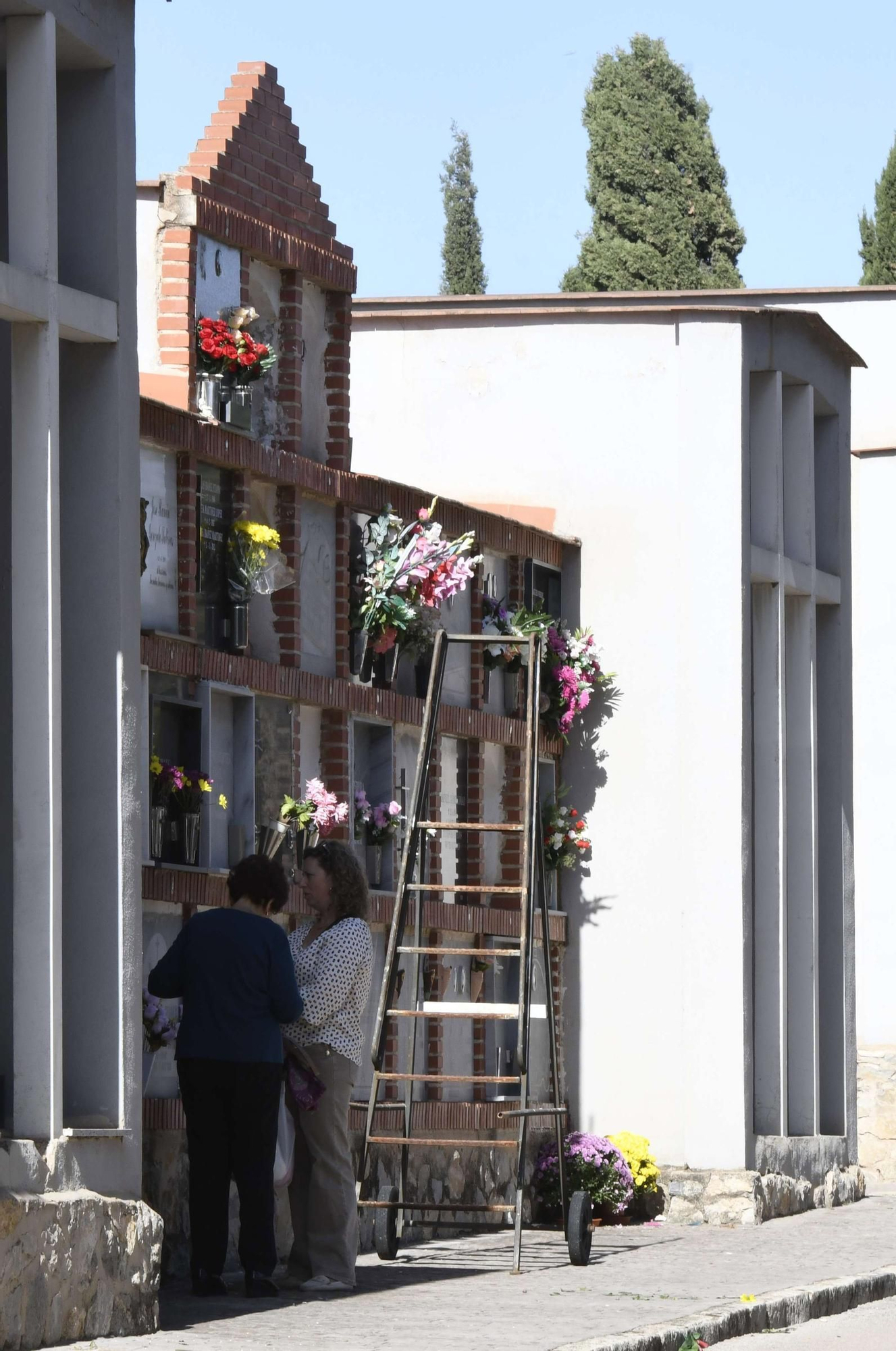 Cementerios de Murcia en el Día de Todos los Santos.
