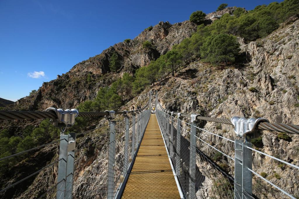 Puente colgante, Málaga