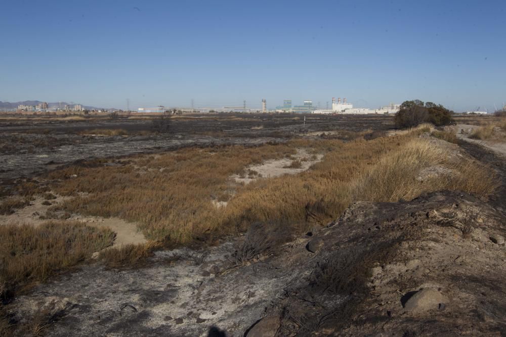 La Marjal dels Moros tras el incendio