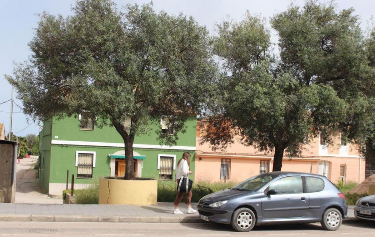 Castellar-Oliveral revisará su ordenación. | LEVANTE-EMV