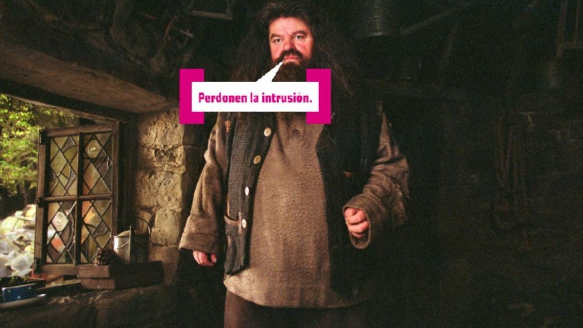 El universo Harry Potter se vuelca con la muerte de Hagrid: así han reaccionados sus protas