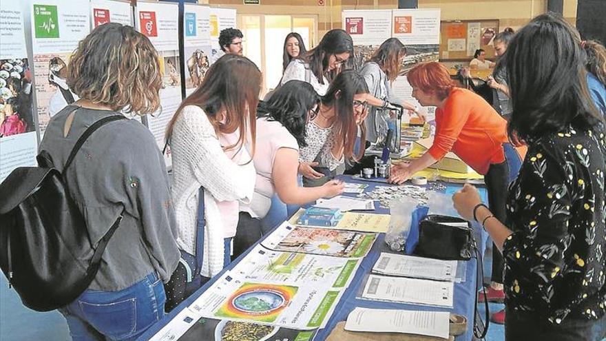 Nuevo éxito de Ecocampus