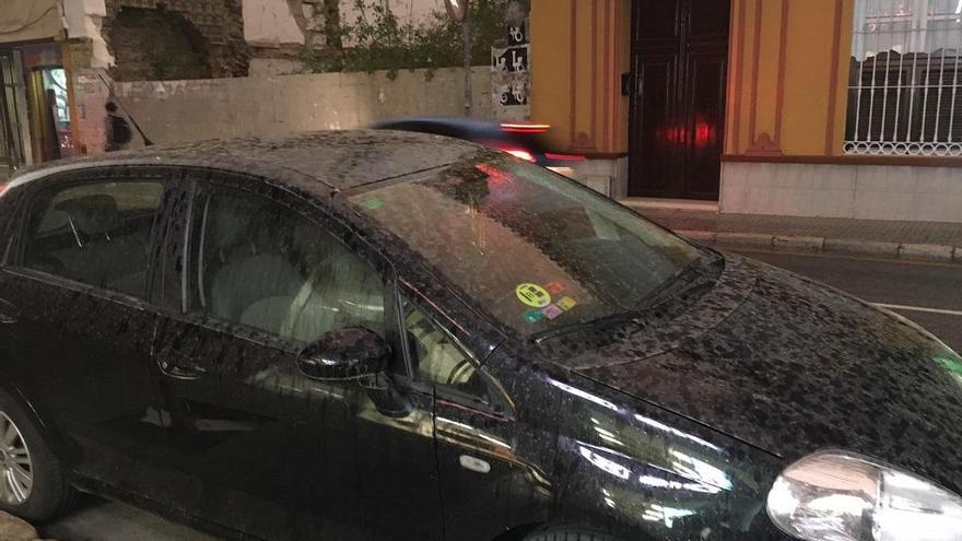 La lluvia manchó los coches que estaban en la calle.