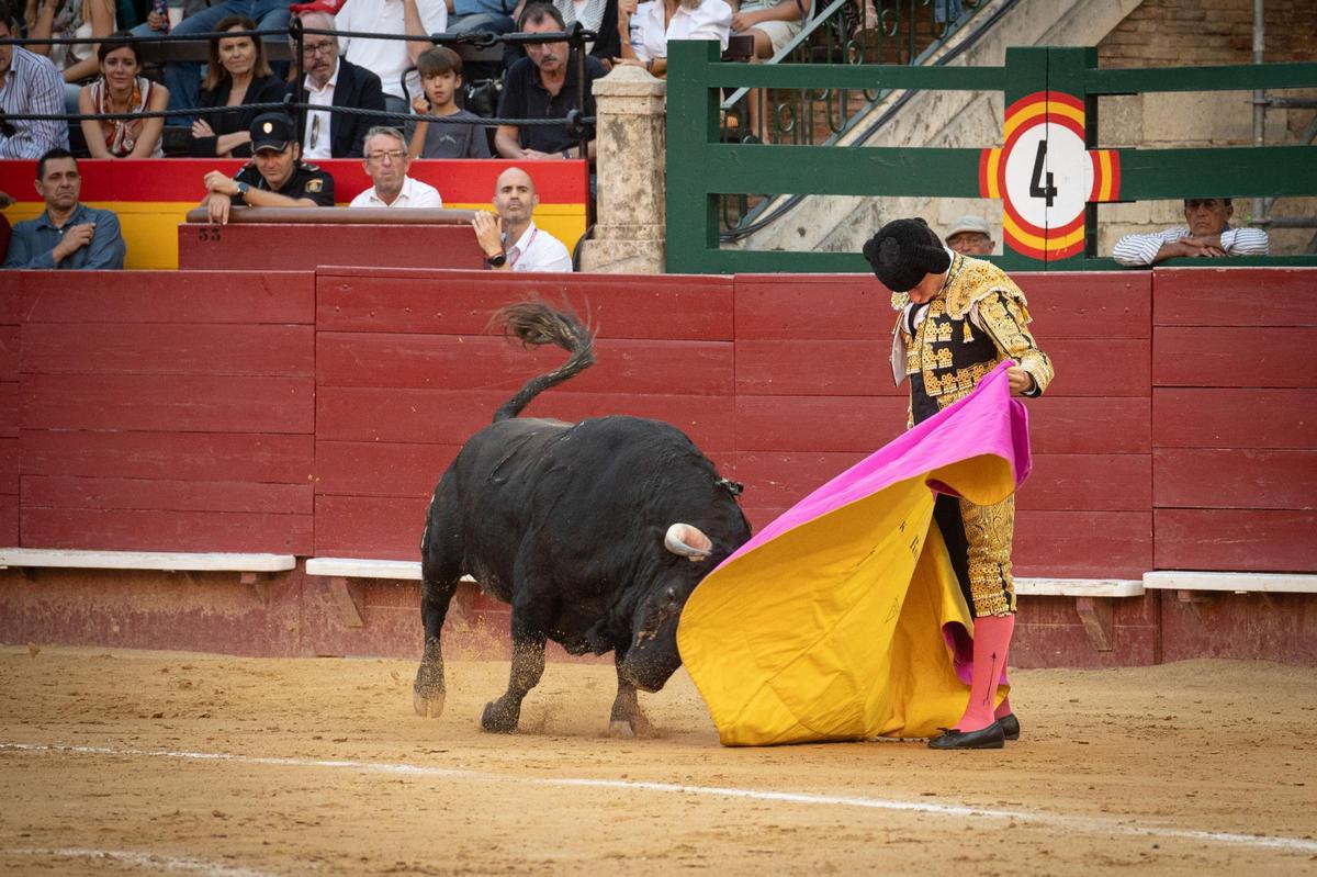 Bellísima verónica de Nek Romero