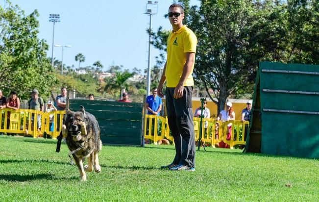 10/12/2016 MASPALOMAS. Feria de Mascotas Maspalomas 2016.Foto: SABRINA CEBALLOS