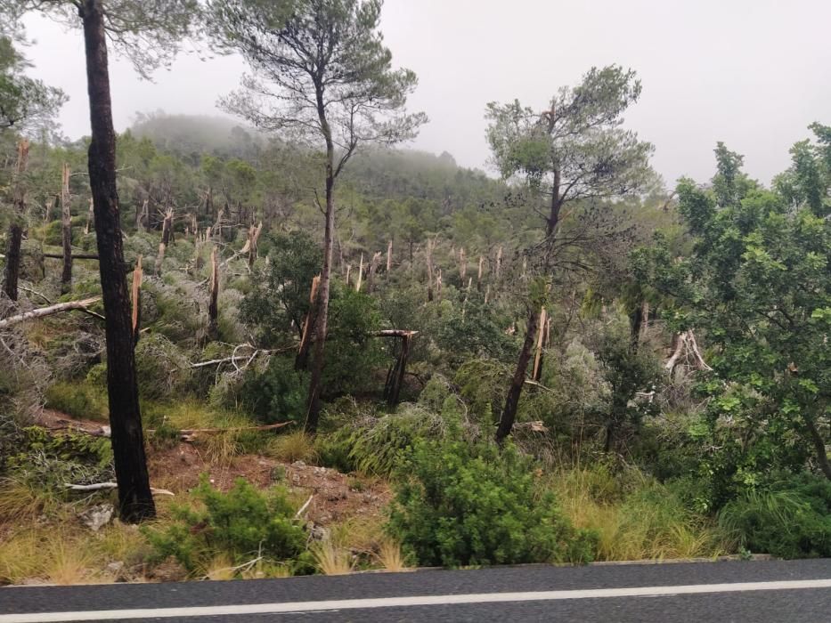 Tormenta, granizo y un 'cap de fibló' en Mallorca