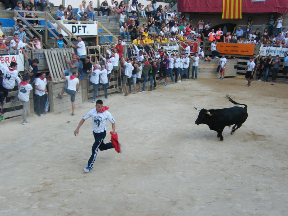 Corre de bou de Cardona (dilluns 12 de setembre)