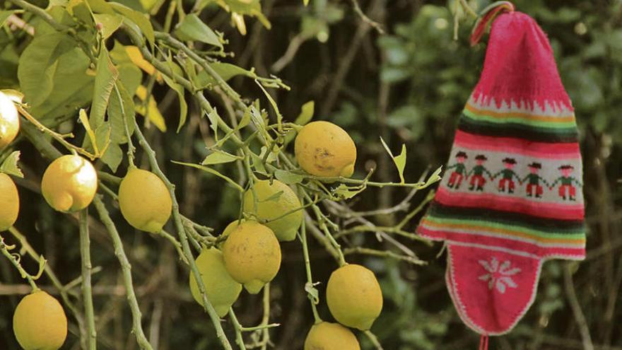 Limones, también en Asturias