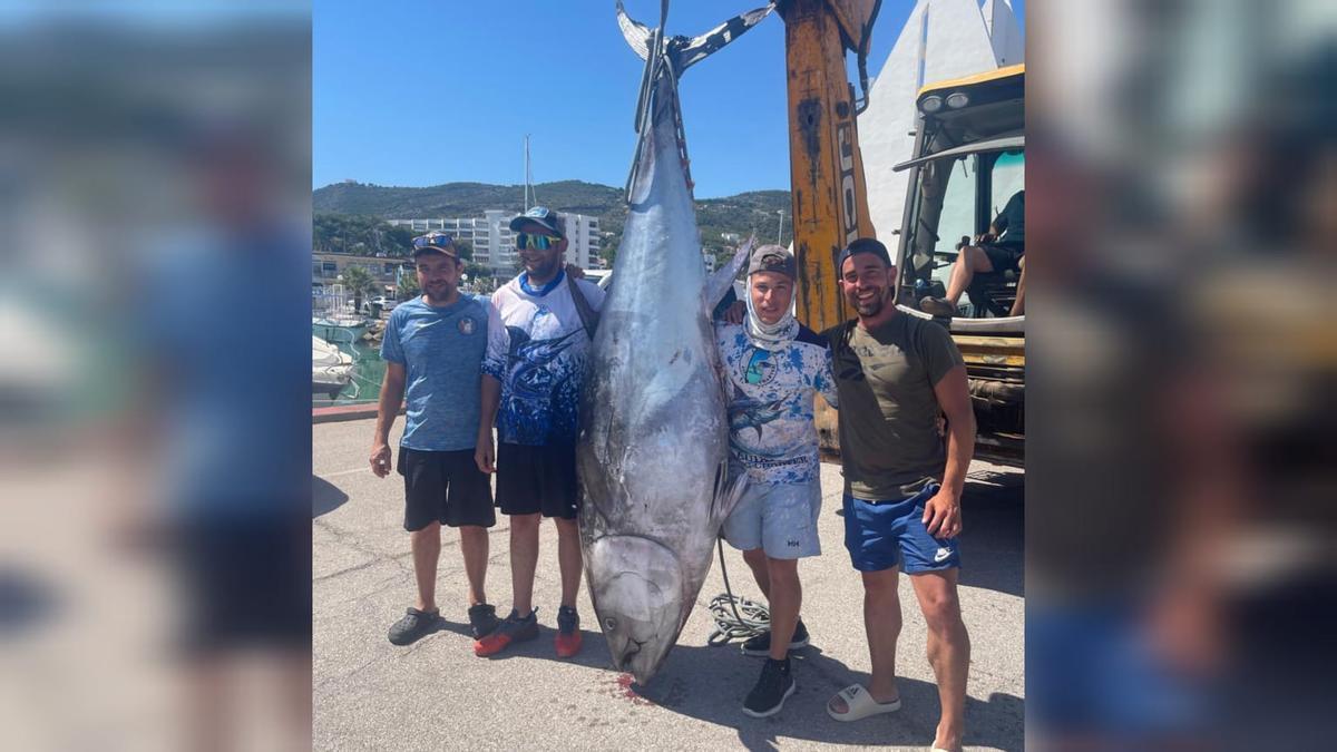 Imagen del espectacular atún rojo que ronda los 300 kilos capturado en aguas de Castellón.