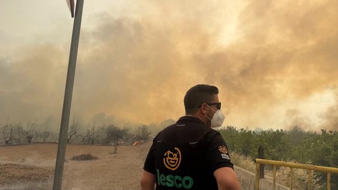 Las imágenes del grave incendio forestal en Los Garres (Murcia)