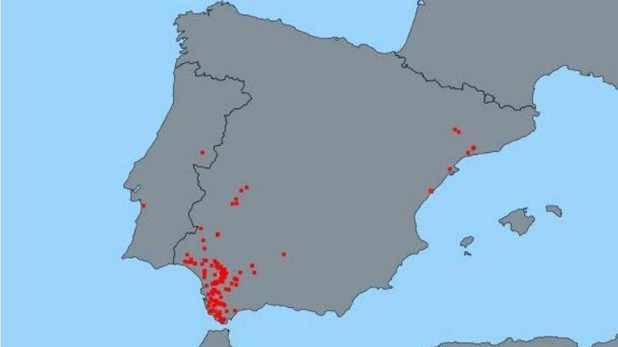 Mapa de los casos en España.