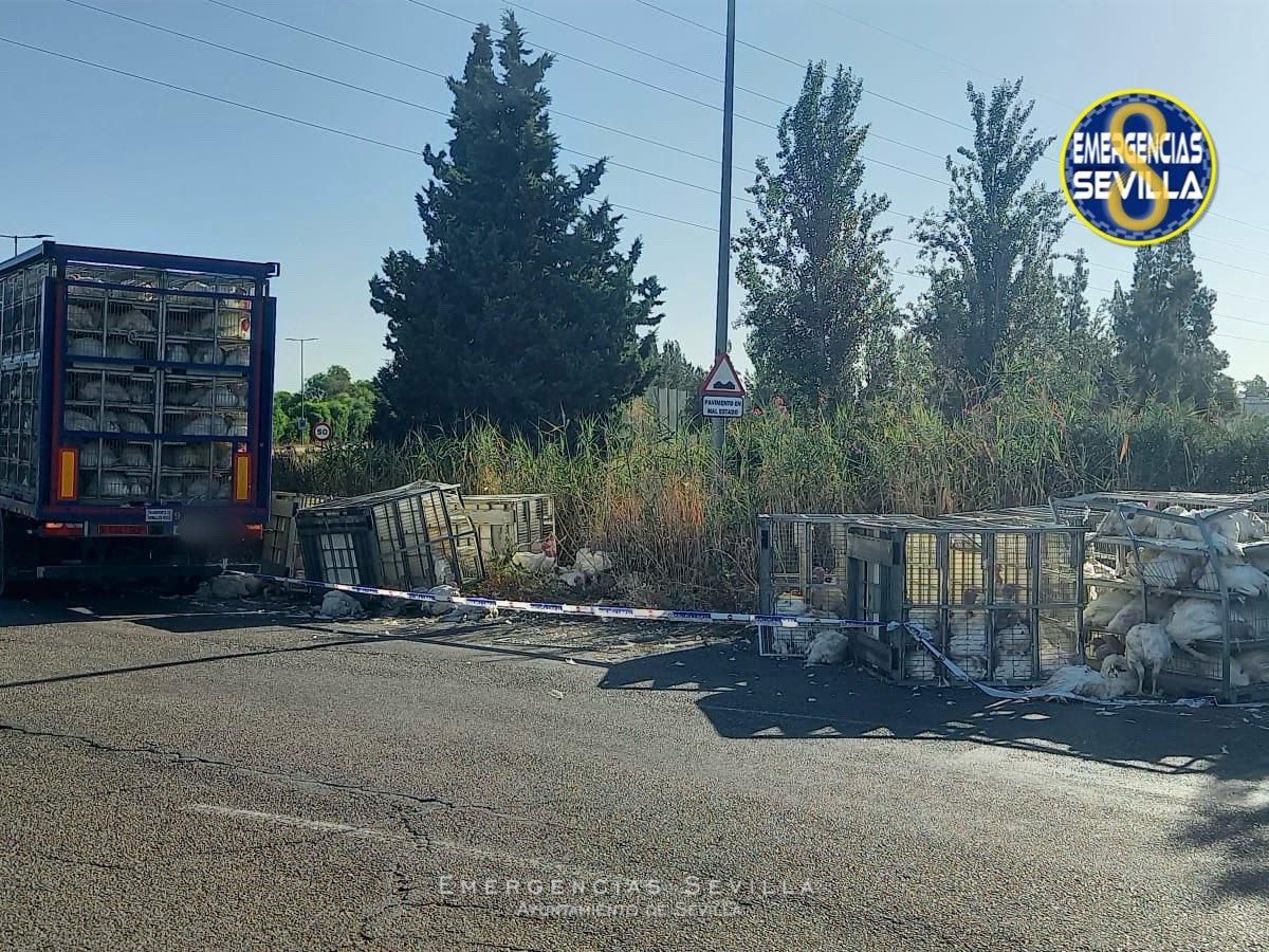Accidente en la SE-20