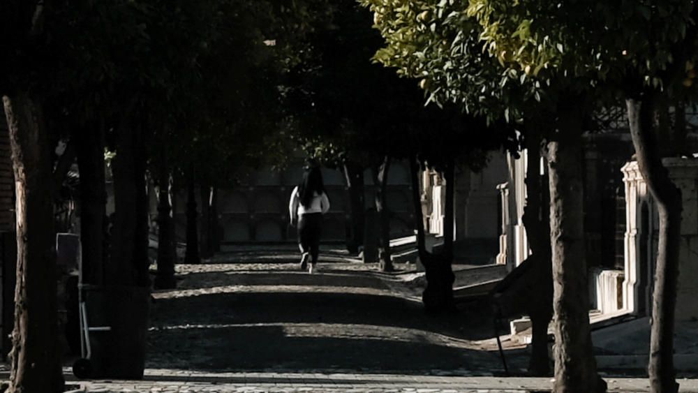 Día de Todos los Santos en el Cementerio Histórico de San Miguel