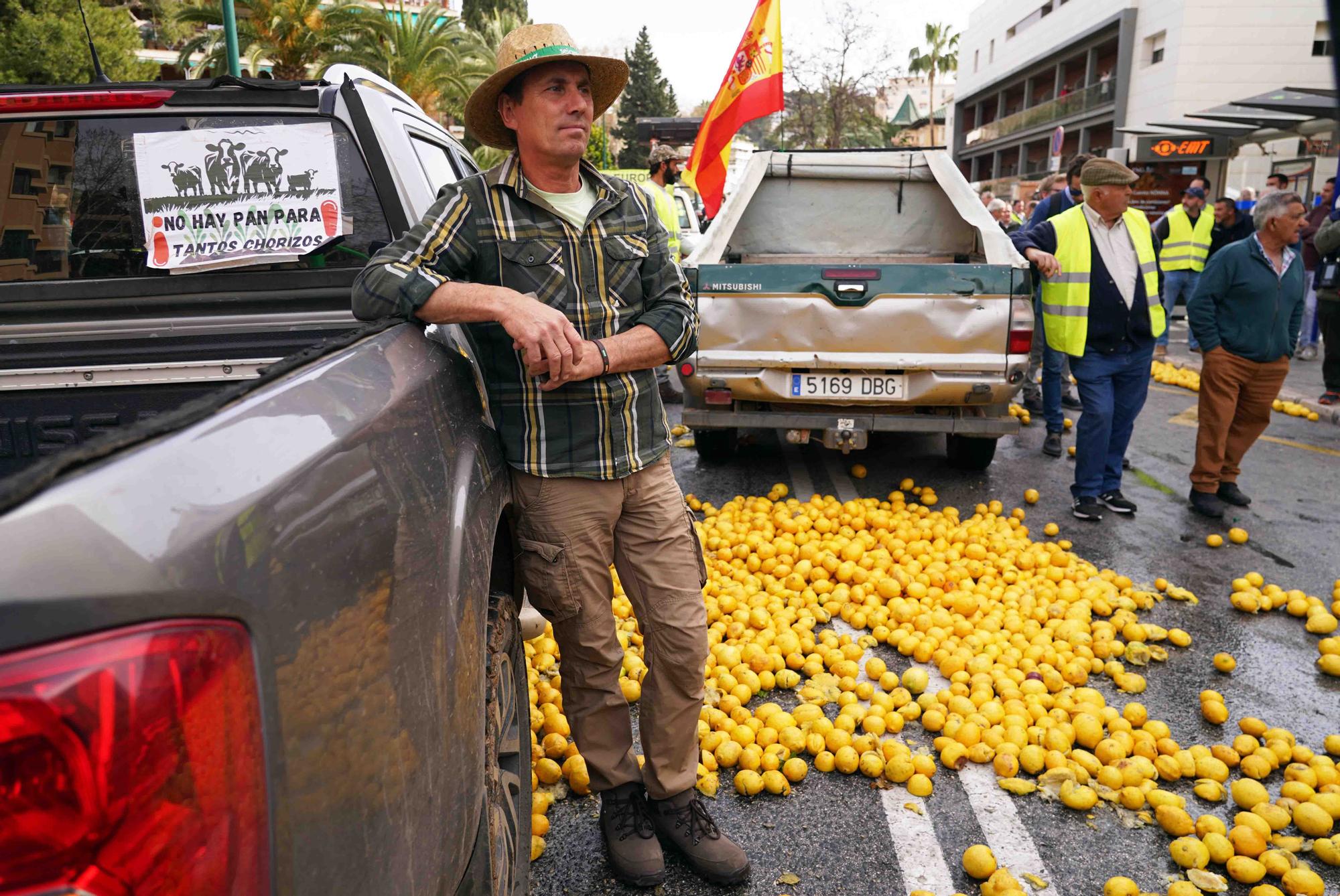 Concentración de agricultores en las puertas de la Subdelegación de Gobierno de Málaga, en el Paseo de Sancha.