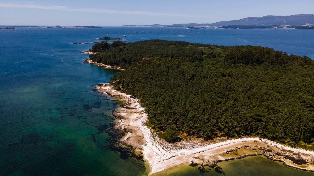 La isla de Cortegada está en Galicia y tiene la mayor concentración de laureles de Europa