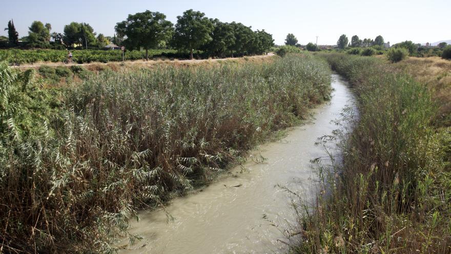 La primera playa fluvial del municipio de Murcia consigue financiación europea