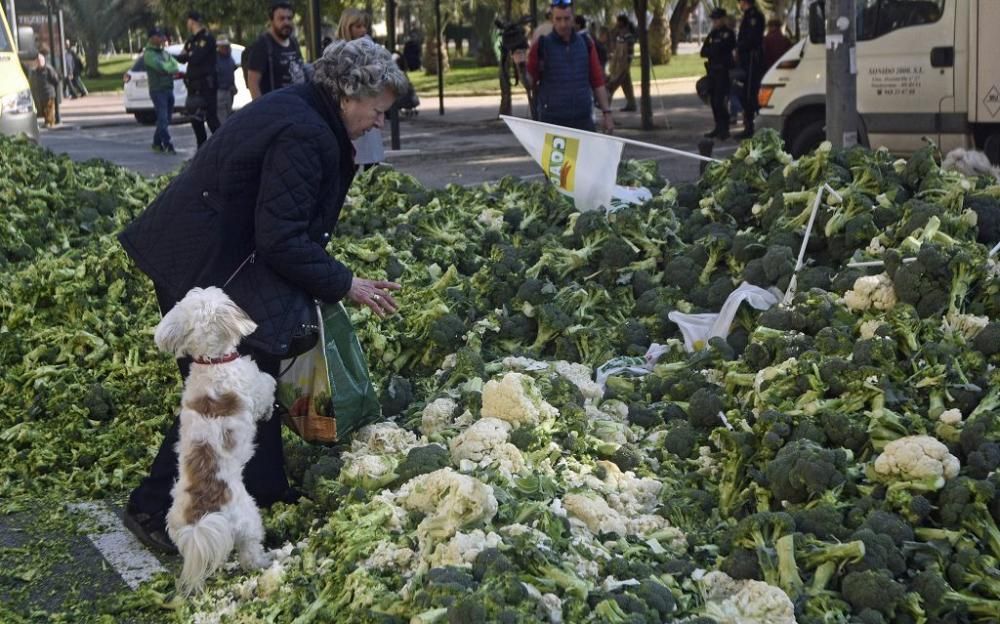 Así ha sido la manifestación de los agricultores en Murcia (II)