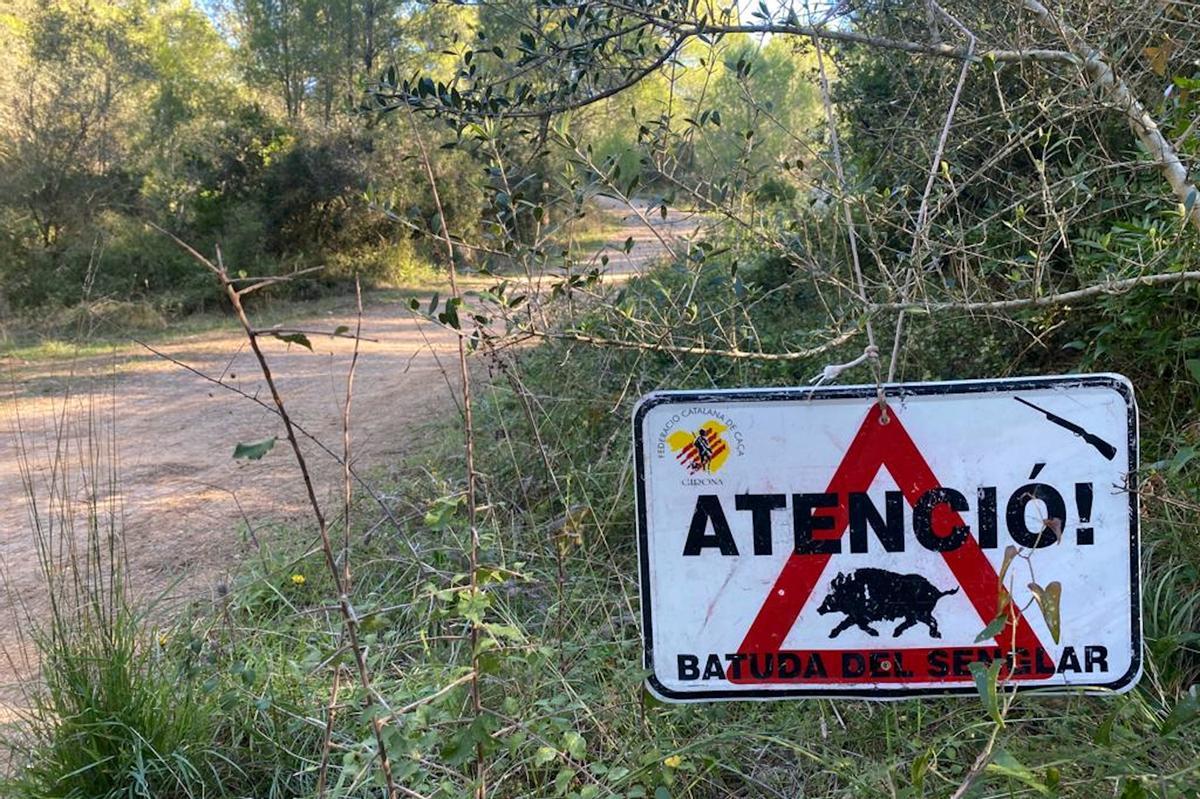 Un cartel avisa de una batida de jabalís en el parque natural del Montgrí.