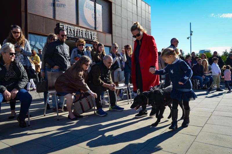 Fundación Bioparc y AUPA celebran el 15º Desfiles de perros abandonados