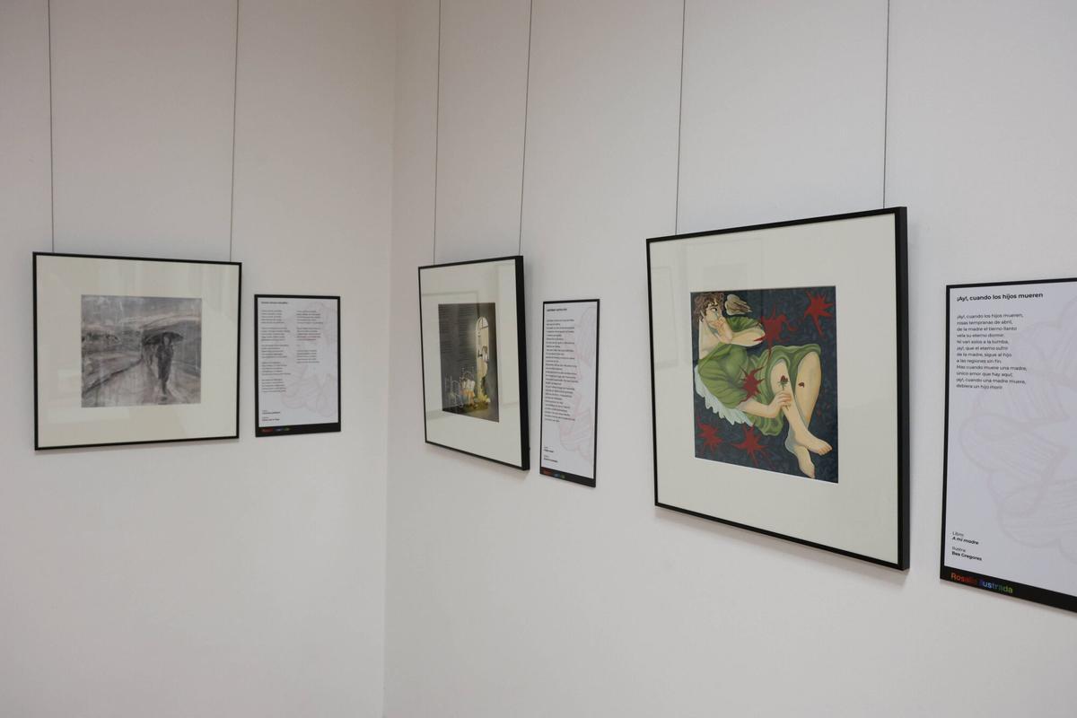 A Deputación leva a Vigo «Rosalía Ilustrada», unha exposición con 35 obras que reinterpretan a autora desde a arte gráfica