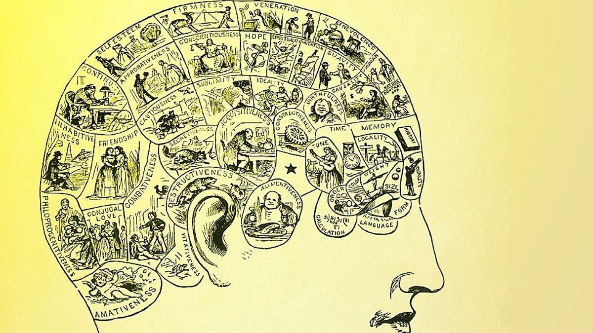 Frenología: las áreas en las que esta disciplina localizó las funciones intelectuales.