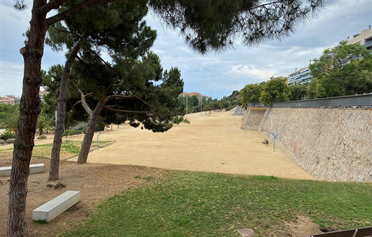 Mataró inicia un procés participatiu sobre els espais recreatius per a gossos
