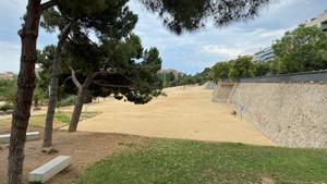 Mataró inicia un procés participatiu sobre els espais recreatius per a gossos