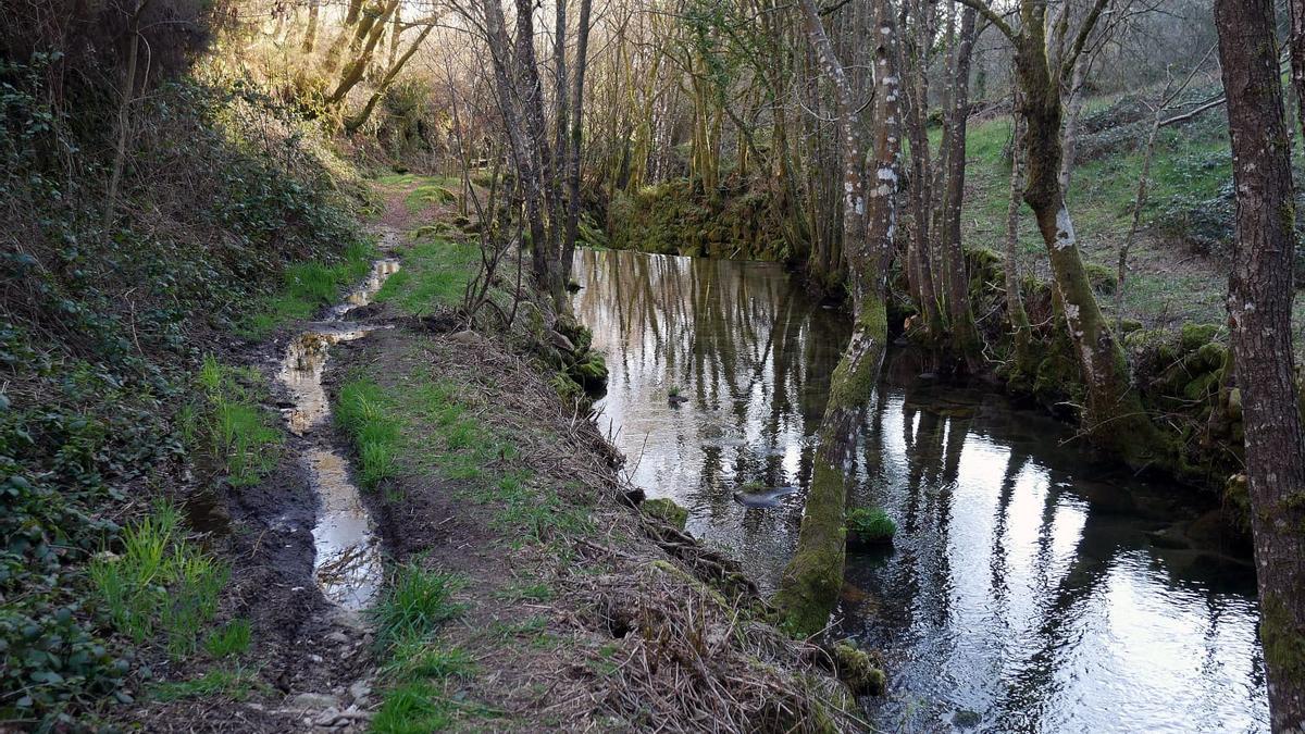 Otro de los caminos naturales para senderistas en Cea. // CONCELLO DE CEA