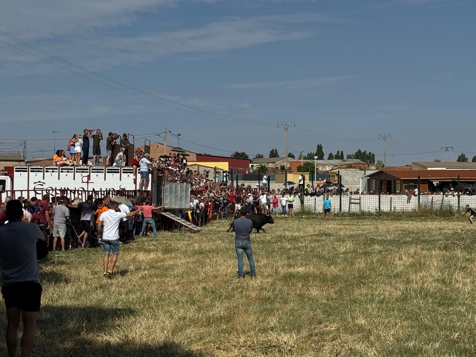 GALERÍA | Encierro bajo el bochorno en Vadillo de la Guareña
