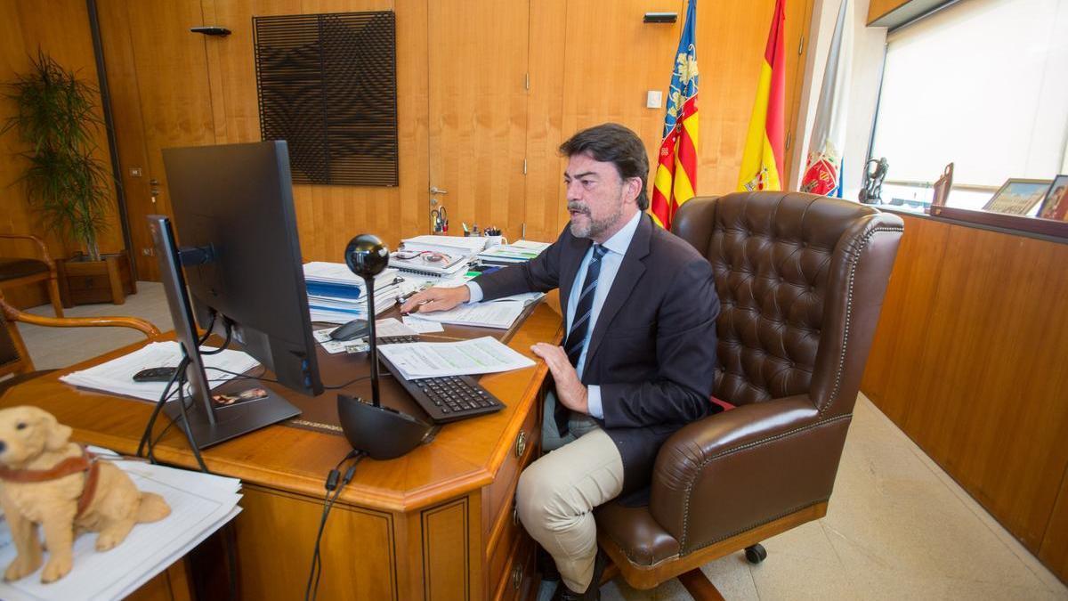 El alcalde de Alicante, Luis Barcala, en una imagen en su despacho
